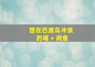 想在巴厘岛冲浪的喵 + 闲鱼